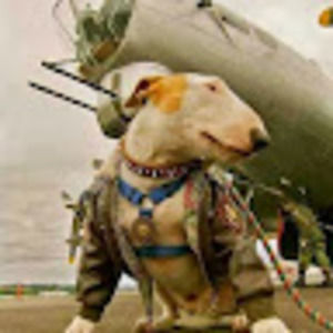 Meet your Posher, Lynnette